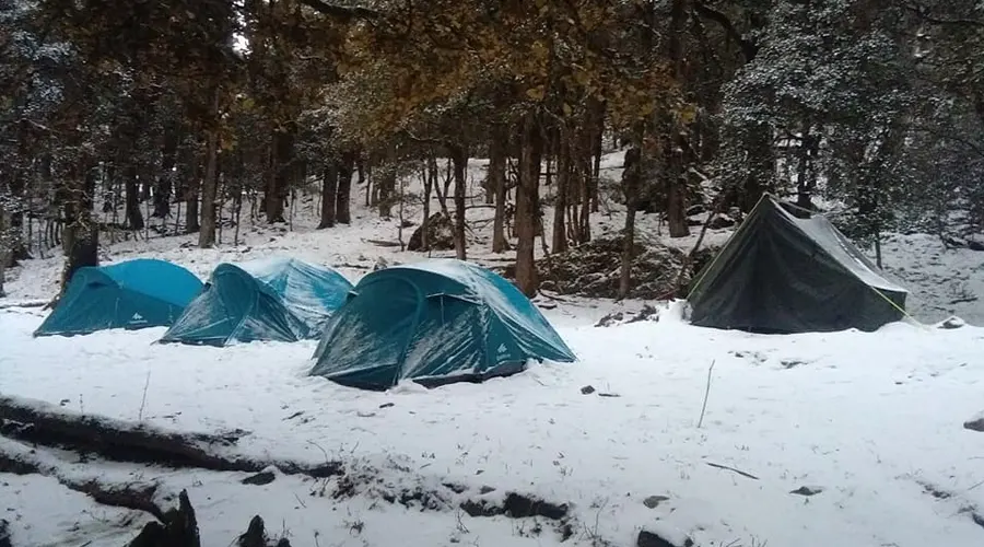 Camping At Chopta